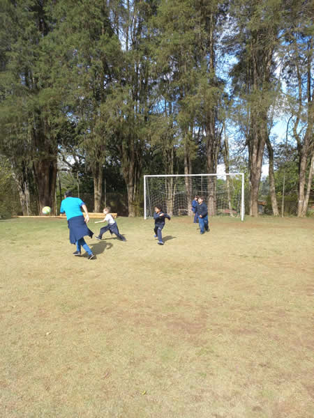 Bicho Mania 2022